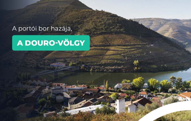 Ismerd meg Portugália gyöngyszemét, a Douro-völgyet, ami szeptemberben mutatja legszebb arcát.